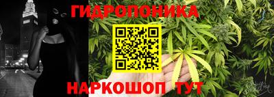 эйфоретик Можга