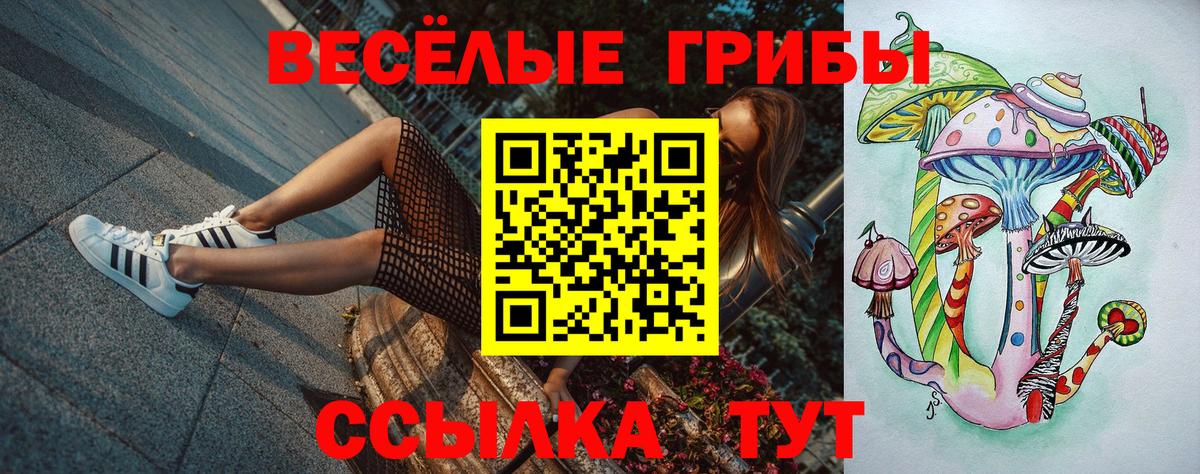 Псилоцибиновые грибы Psilocybe Прокопьевск