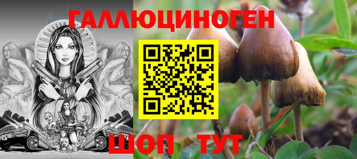 Псилоцибиновые грибы мухоморы  Вход с VPN  Прокопьевск 