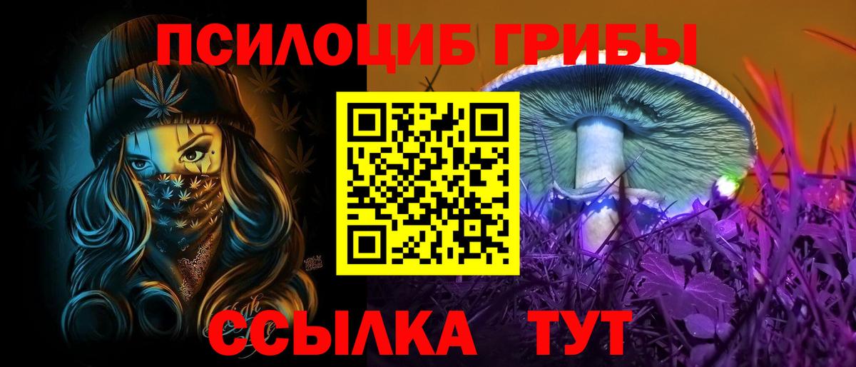 Галлюциногенные грибы Psilocybe  Вход с VPN  Прокопьевск 